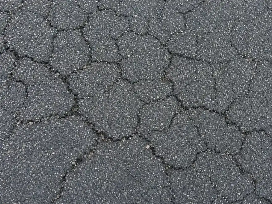 Close-up of alligator cracking in asphalt with loose aggregate in the cracks