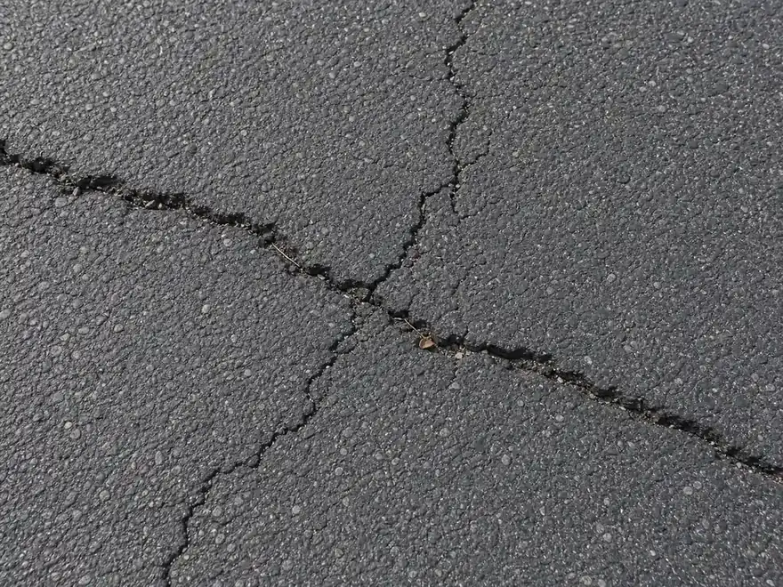 Close-up of branching asphalt driveway cracks used to diagnose the cause